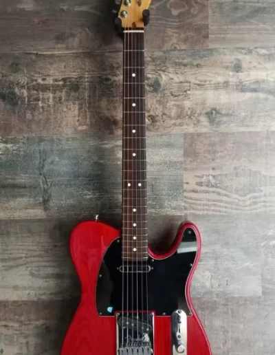 Exposición en pared de guitarra Fender Telecaster AM Pro
